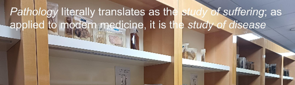 Department of Pathology