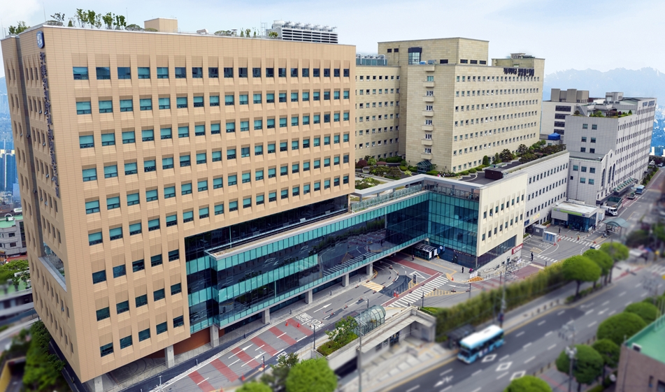 $가톨릭대학교 성빈센트병원 신장내과 김용균 교수팀,  기능 강화된 신장 근위세뇨관 세포 개발